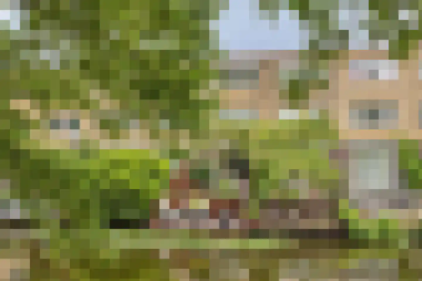 Bultrugpad 37 Amsterdam thumbnail 11