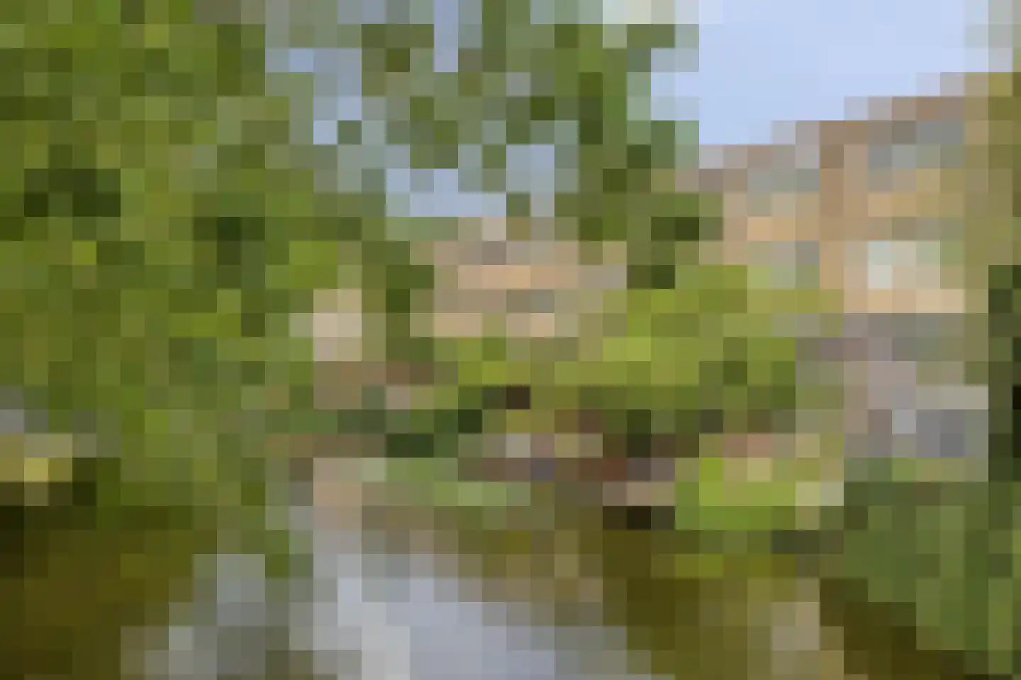 Bultrugpad 37 Amsterdam thumbnail 12