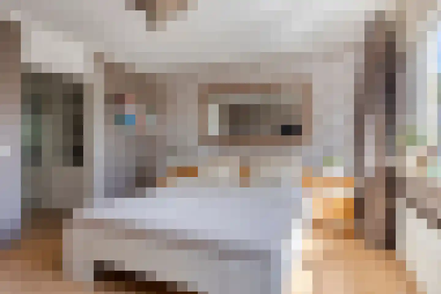 Bultrugpad 37 Amsterdam thumbnail 19
