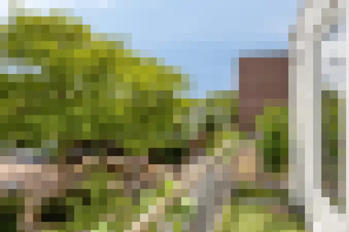 Bultrugpad 37 Amsterdam thumbnail 32