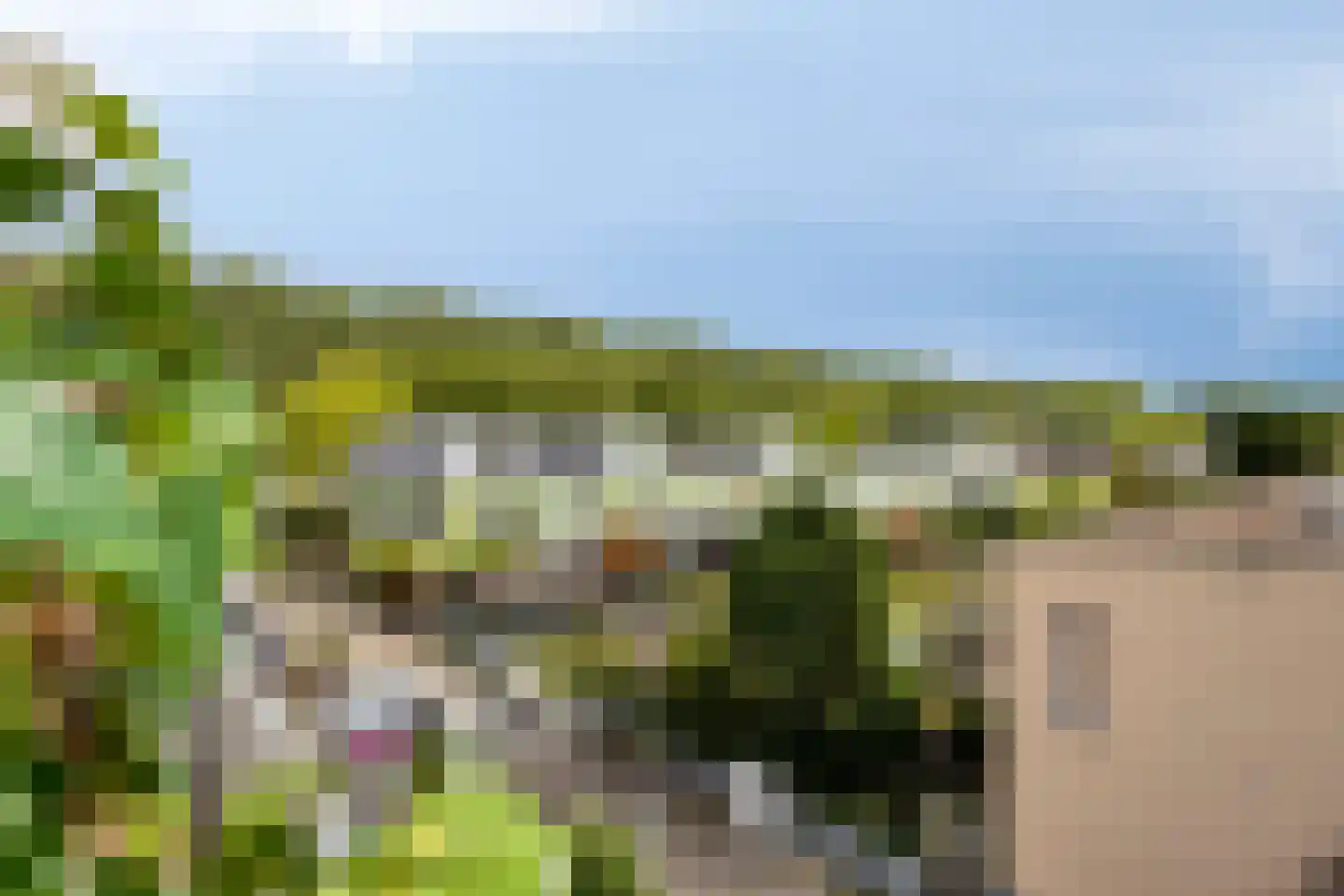 Bultrugpad 37 Amsterdam thumbnail 33