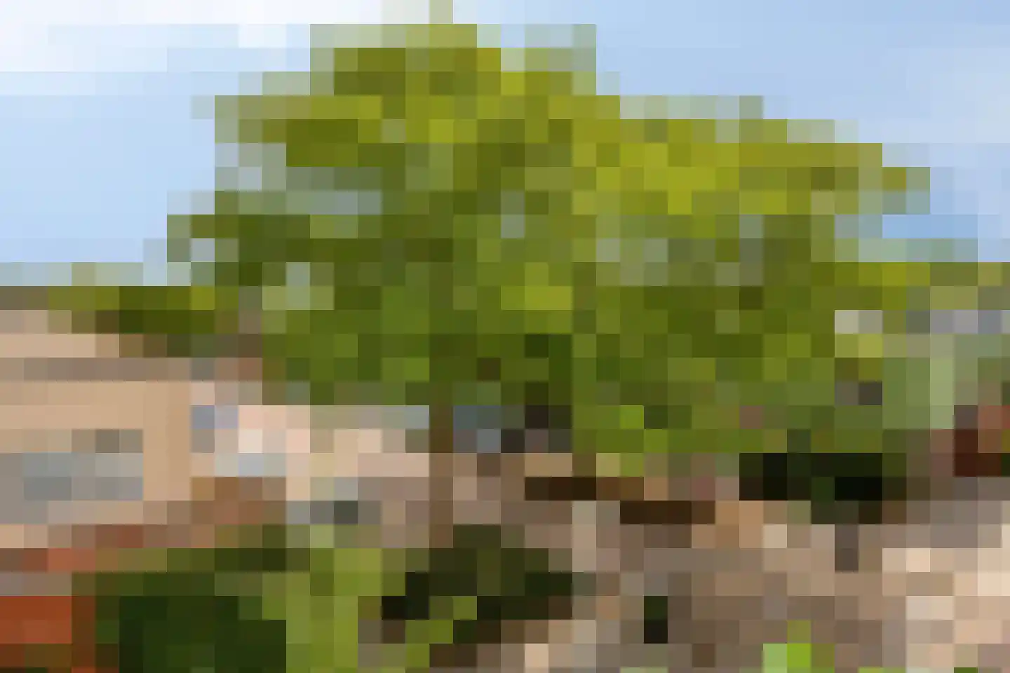 Bultrugpad 37 Amsterdam thumbnail 35