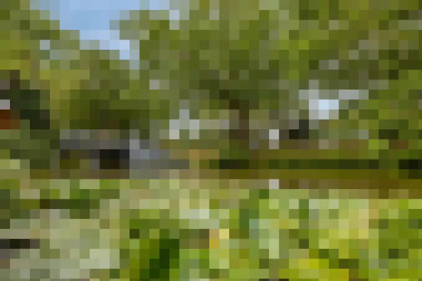 Bultrugpad 37 Amsterdam thumbnail 38