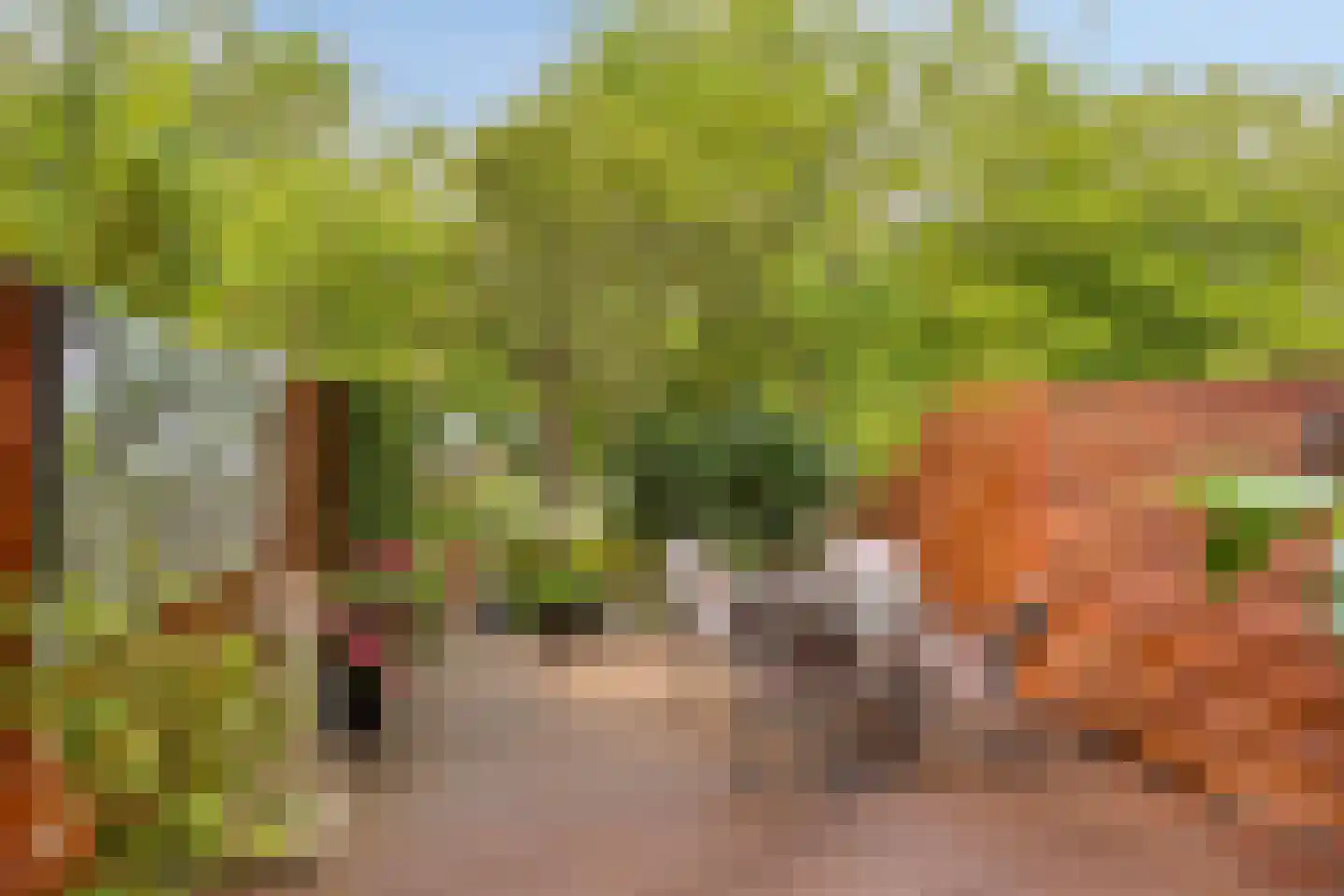 Bultrugpad 37 Amsterdam thumbnail 4
