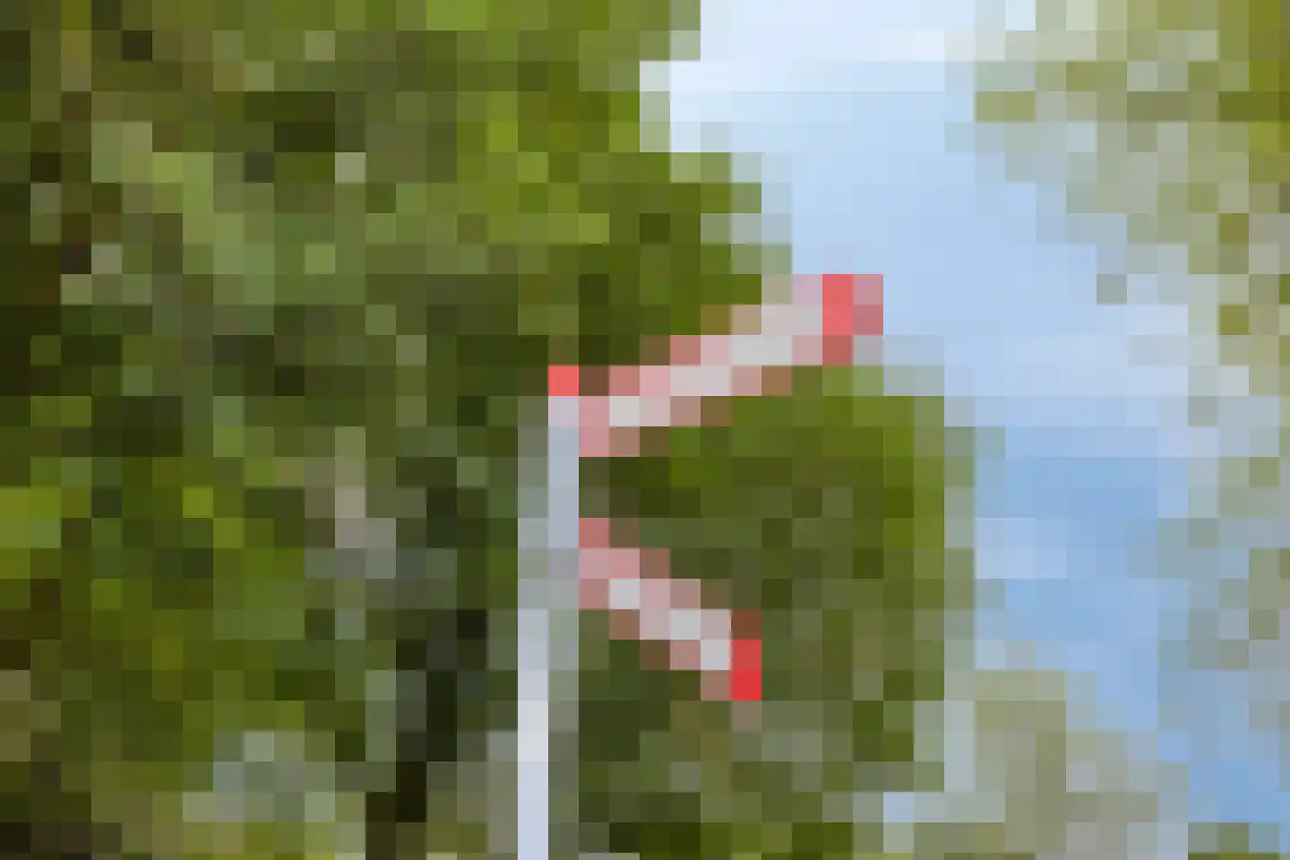 Bultrugpad 37 Amsterdam thumbnail 48