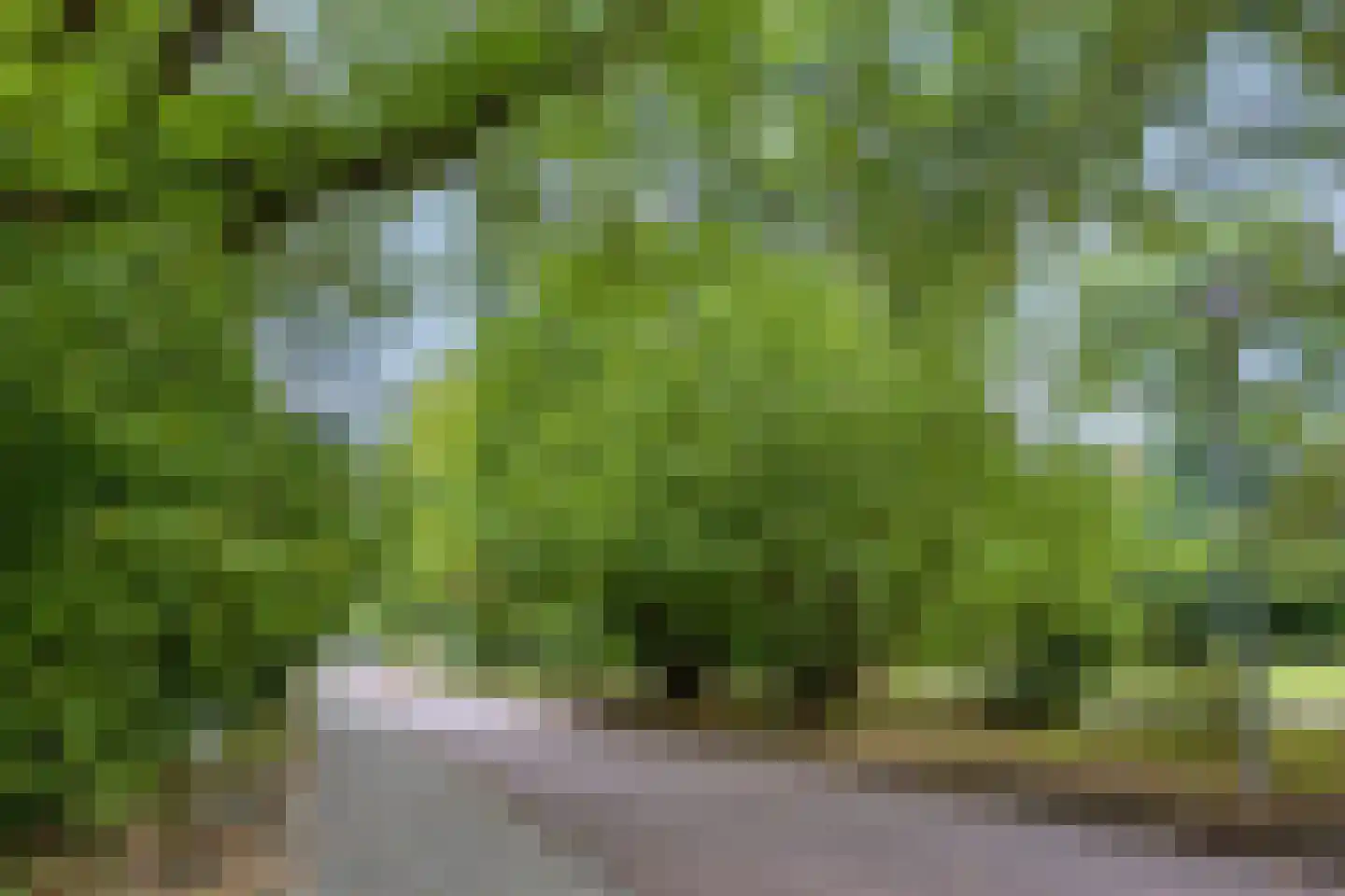 Bultrugpad 37 Amsterdam thumbnail 49