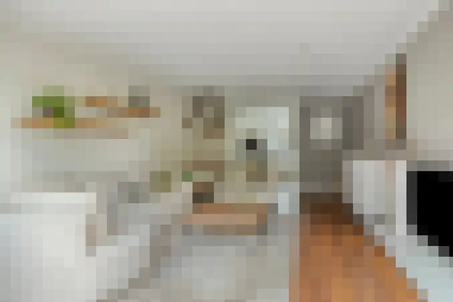 Bultrugpad 37 Amsterdam thumbnail 5
