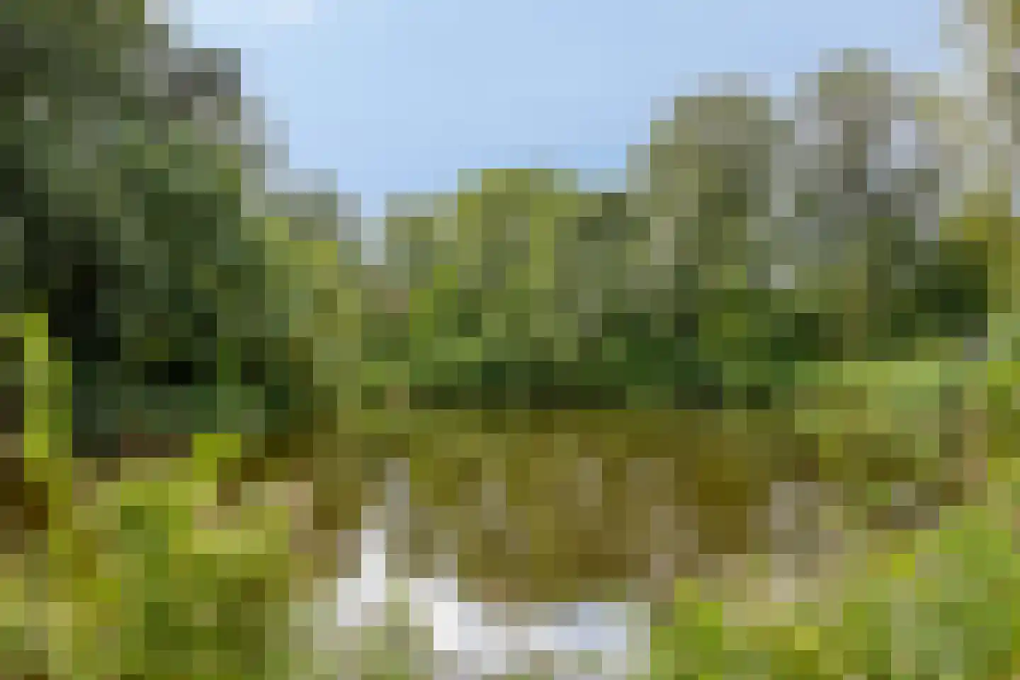 Bultrugpad 37 Amsterdam thumbnail 50