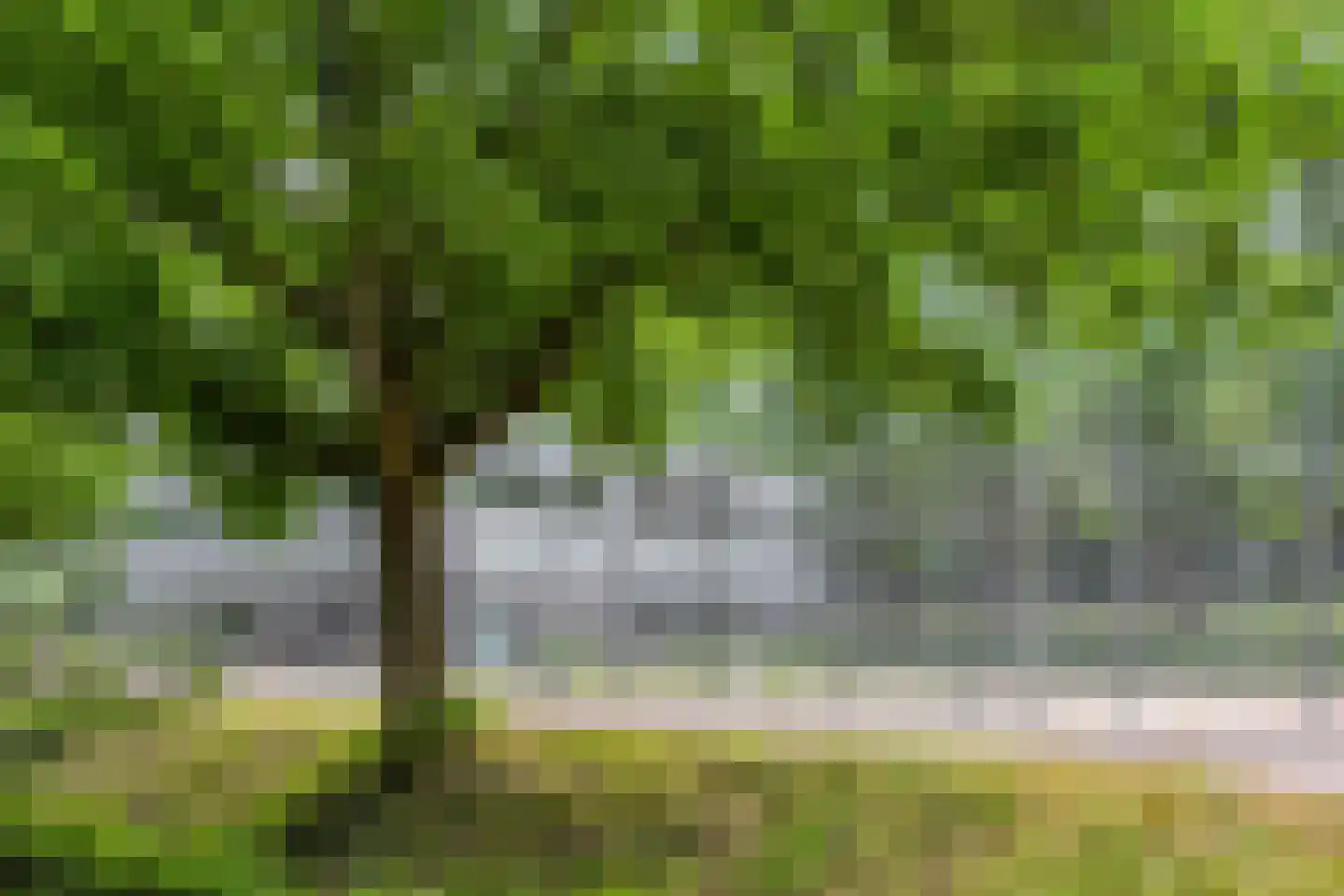 Bultrugpad 37 Amsterdam thumbnail 51