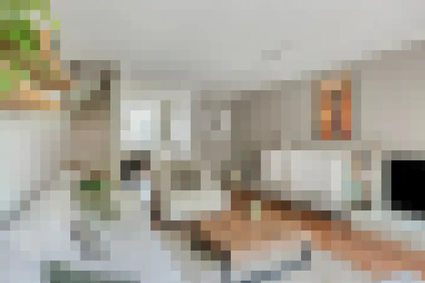 Bultrugpad 37 Amsterdam thumbnail 6