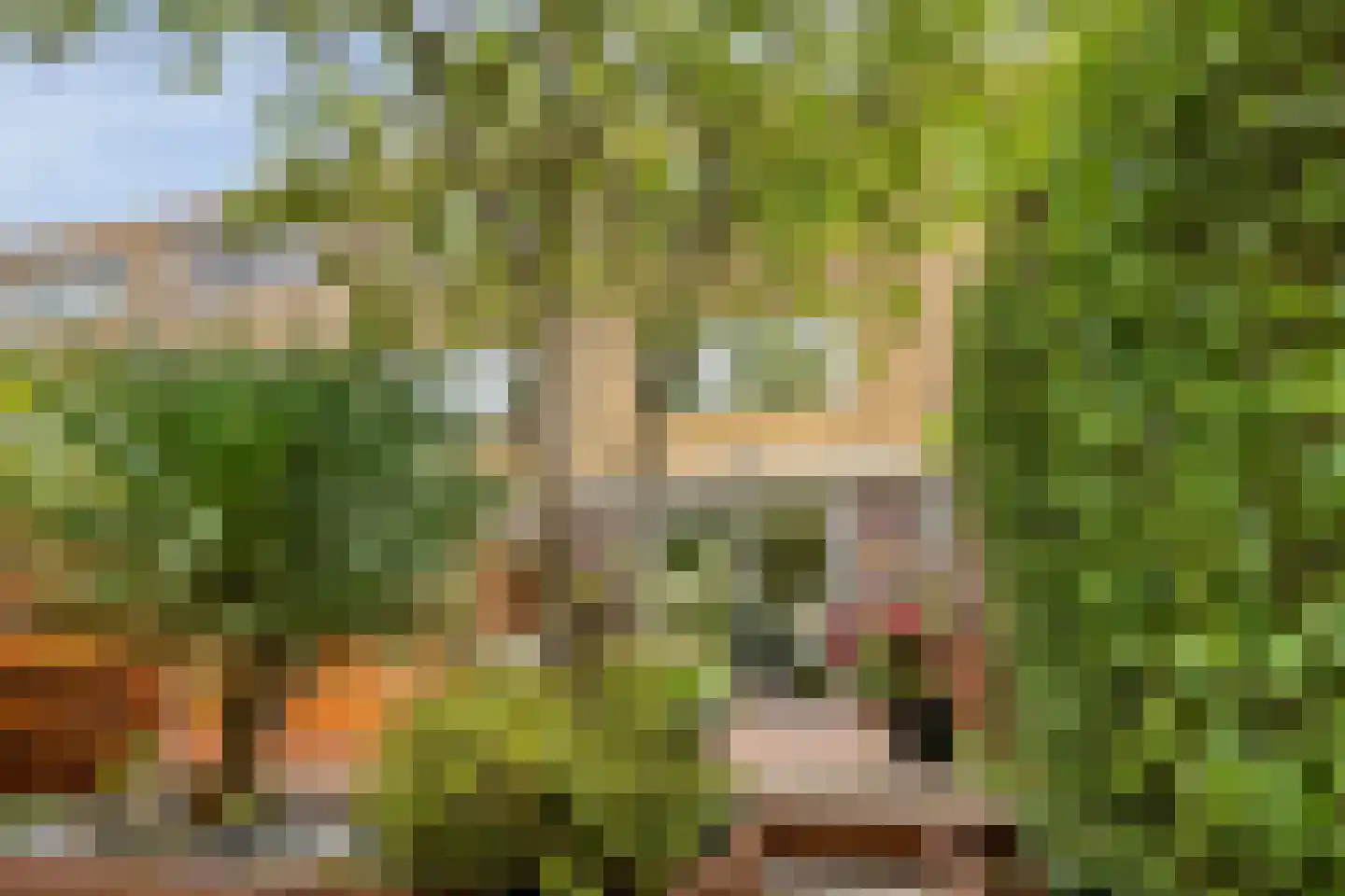 Bultrugpad 37 Amsterdam thumbnail 7