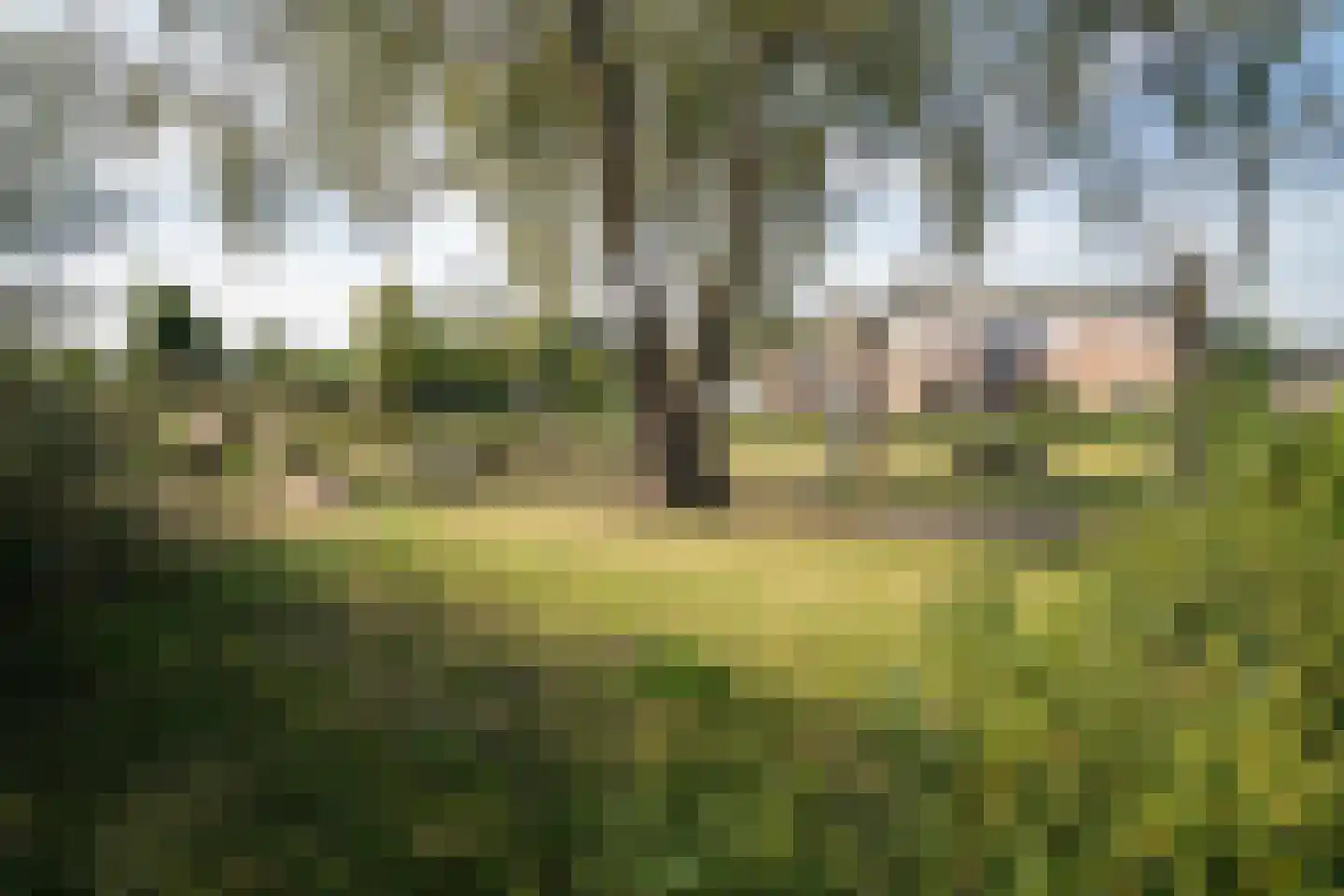Bultsbeekweg 17 Enschede thumbnail 33
