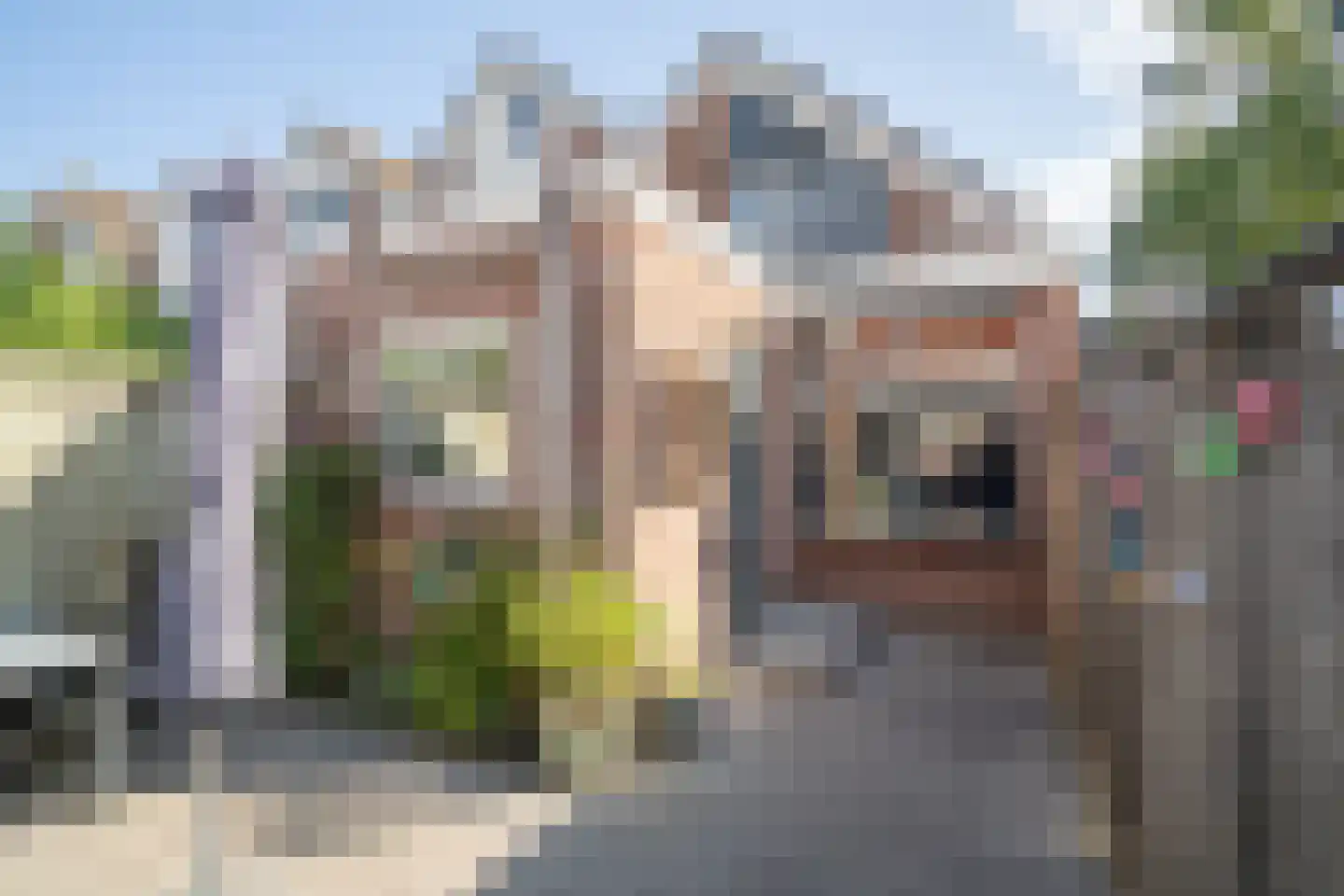 Bultsbeekweg 17 Enschede thumbnail 9