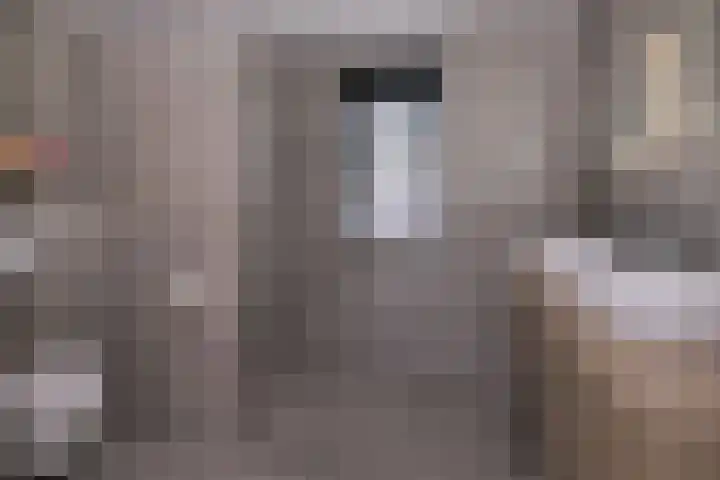 Bultsbosweg 46 Enschede thumbnail 15