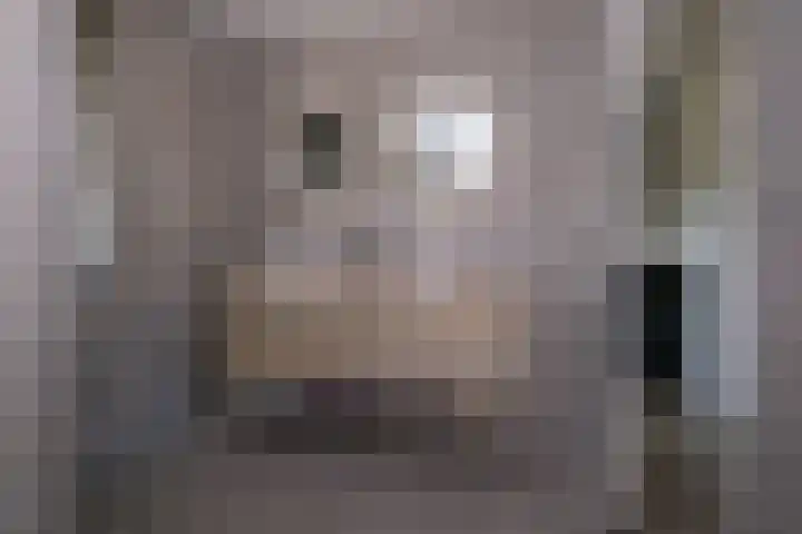 Bultsbosweg 46 Enschede thumbnail 17