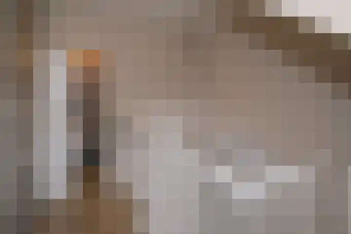 Bultsbosweg 46 Enschede thumbnail 18