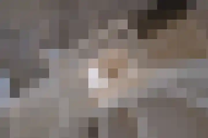 Bultsbosweg 46 Enschede thumbnail 19