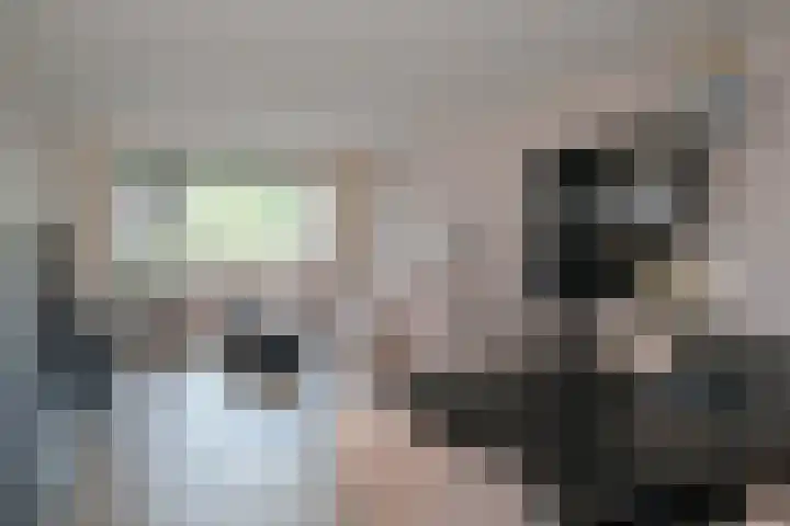 Bultsbosweg 46 Enschede thumbnail 4