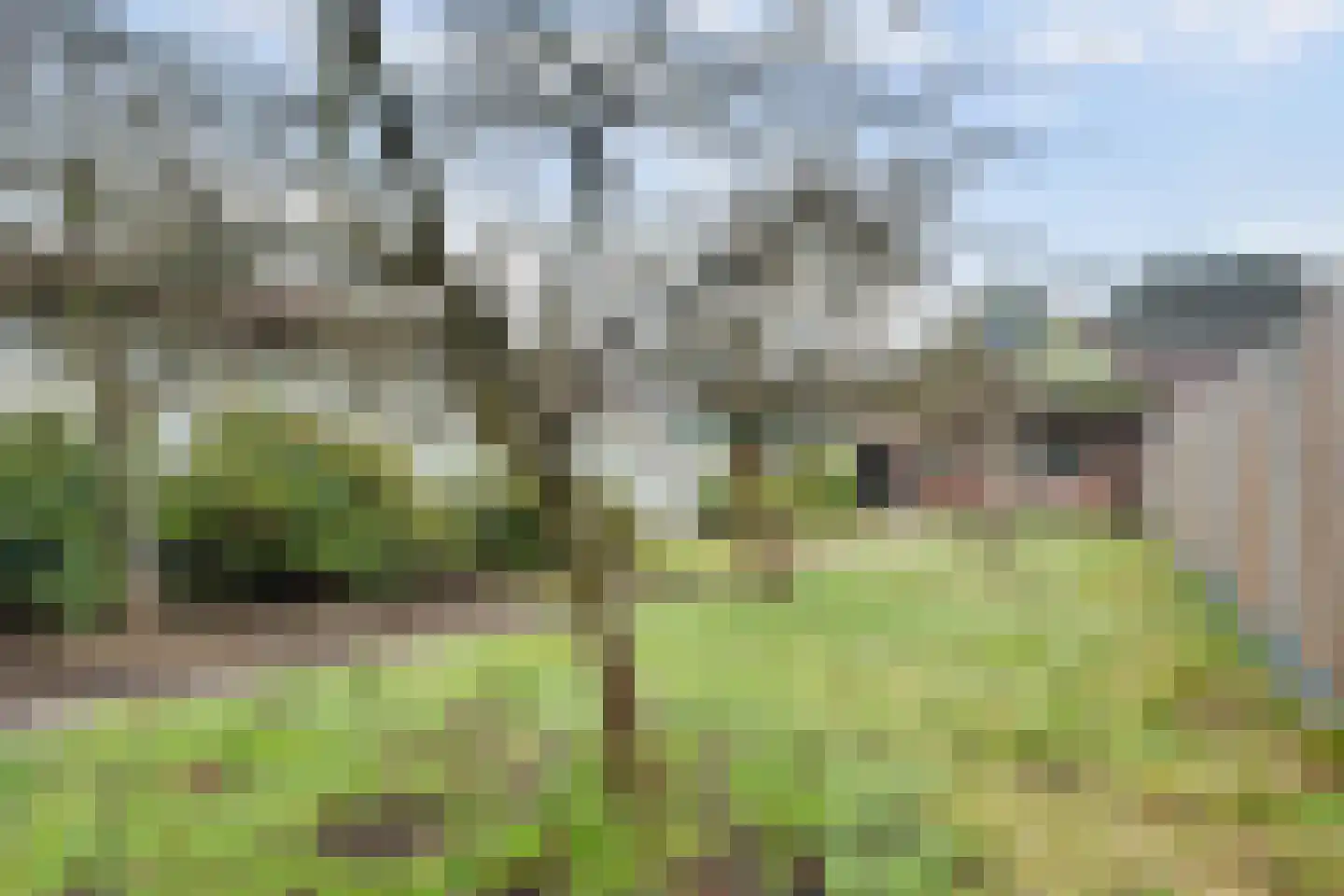 Bultsweg 105 Enschede thumbnail 4