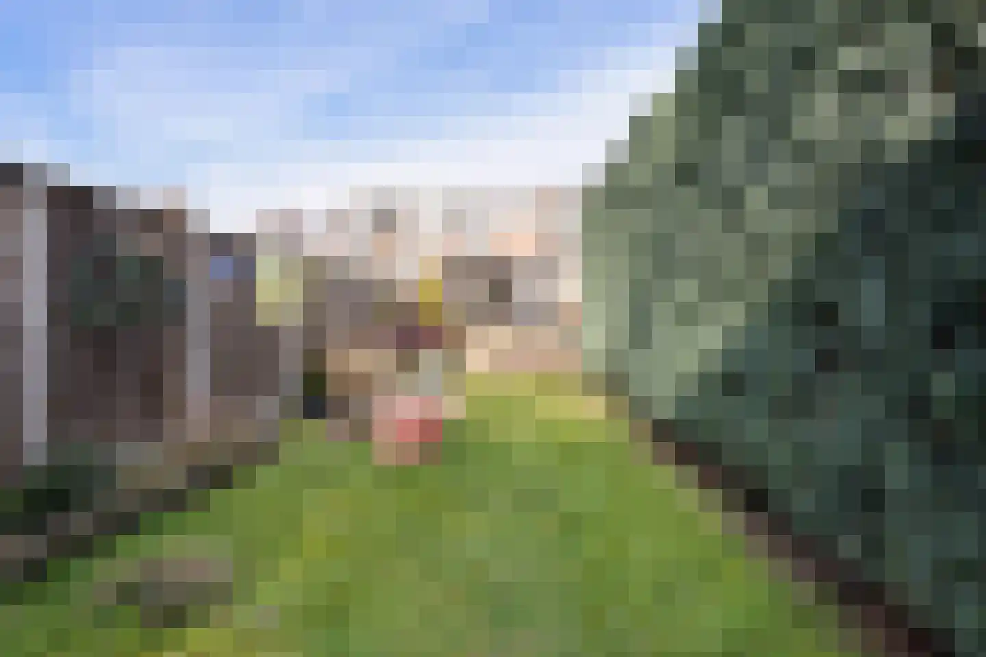 Bultsweg 121 Enschede thumbnail 27