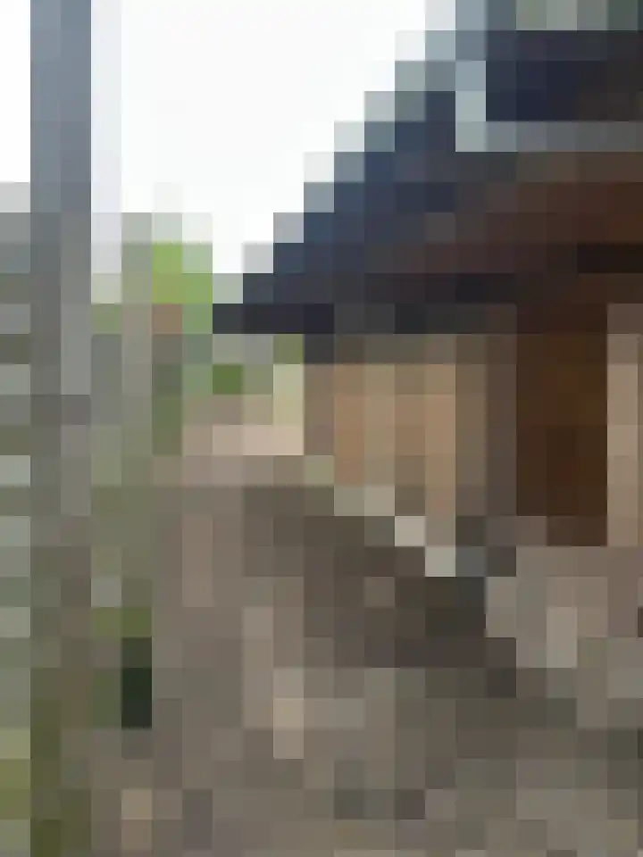 Bultsweg 214 Enschede thumbnail 42