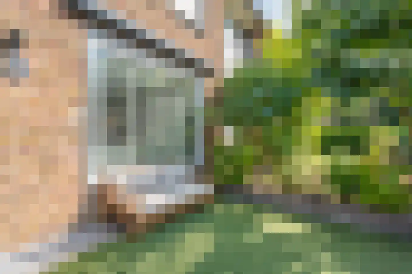 Bultsweg 8 Enschede thumbnail 69