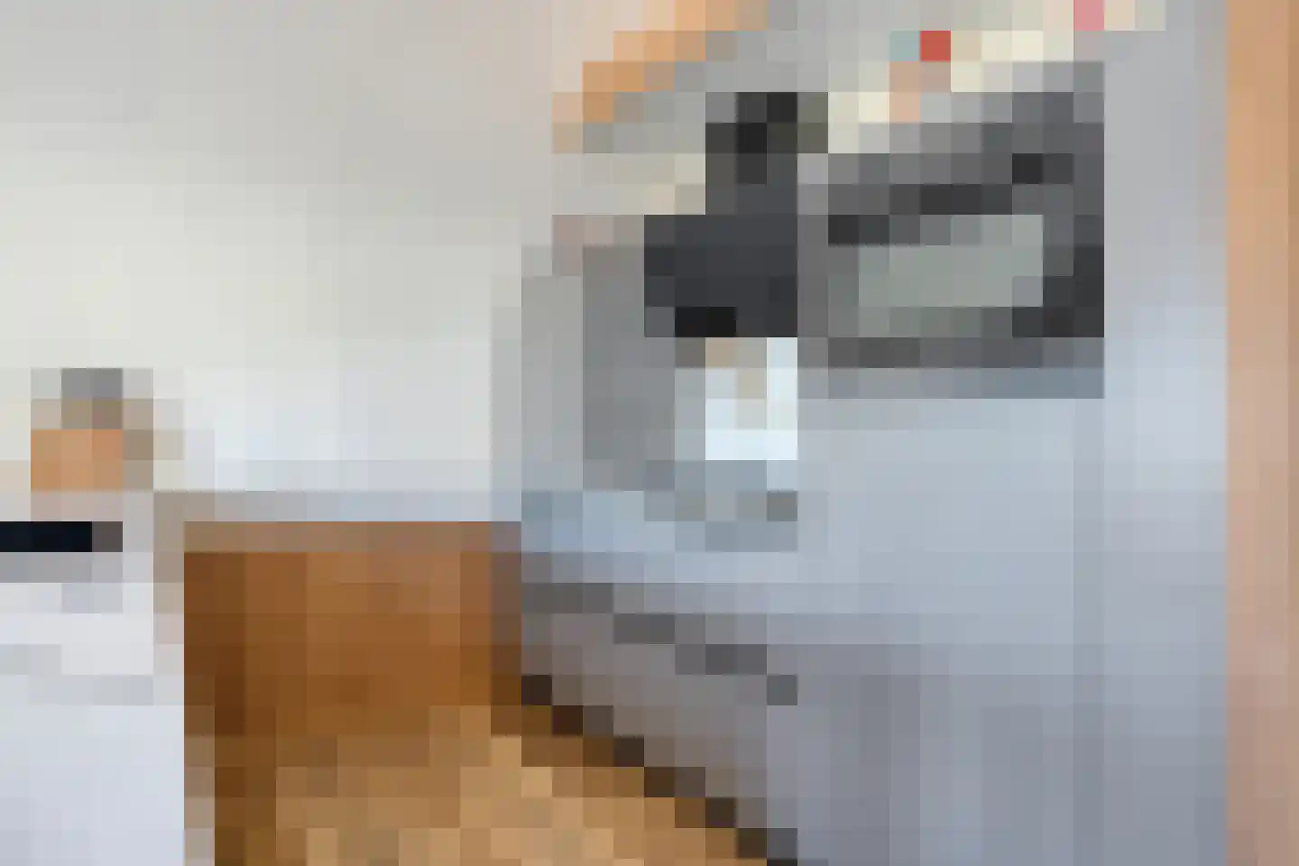 Bultweg 25 R 12 De Bult thumbnail 13