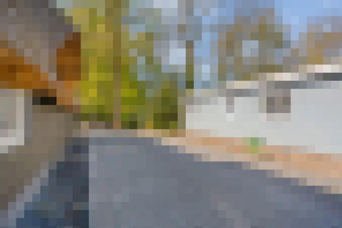 Bultweg 25 R 12 De Bult thumbnail 30