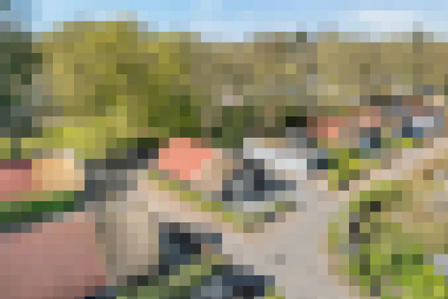 Bultweg 25 R 12 De Bult thumbnail 41