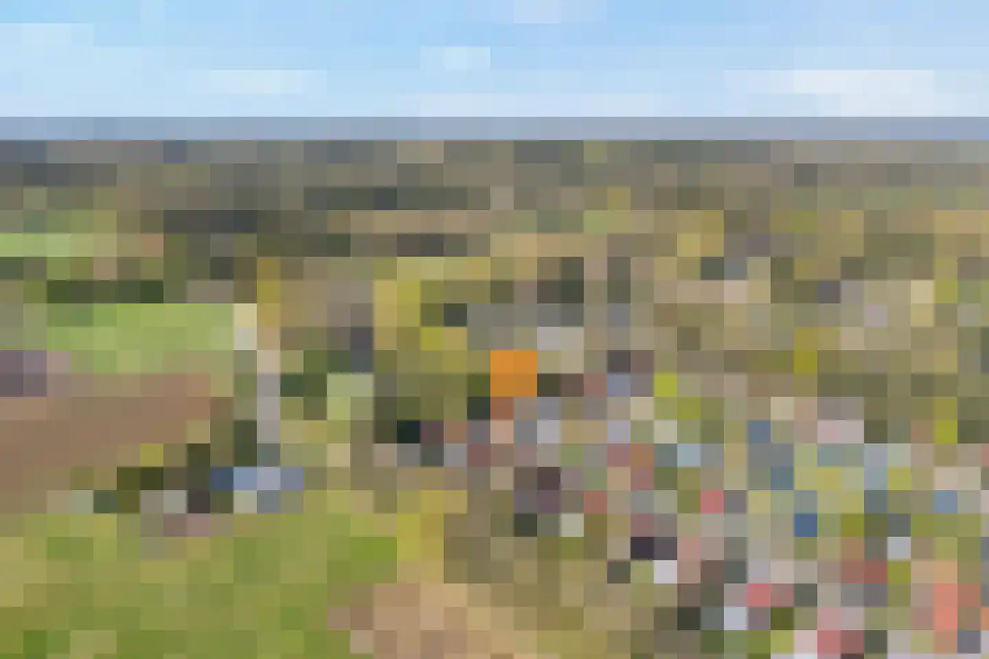 Bultweg 25 R 12 De Bult thumbnail 43