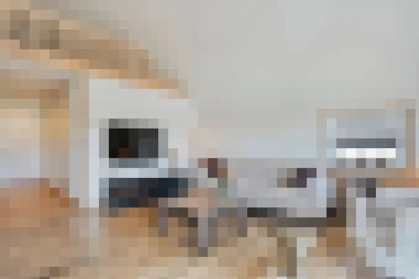 Bultweg 25 R 12 De Bult thumbnail 9
