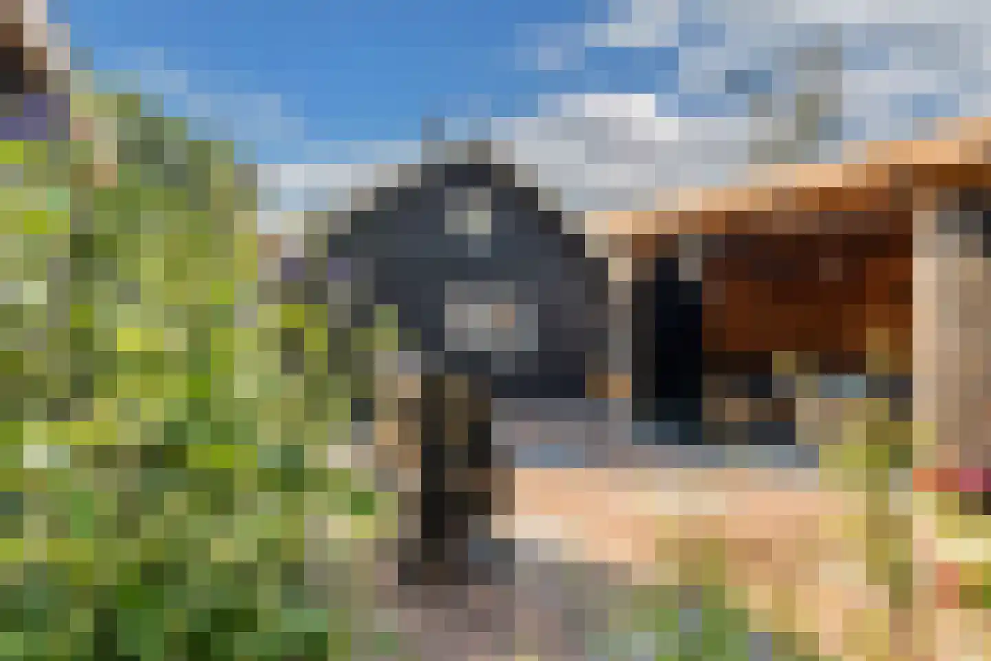 Bultweg 25 R 15 De Bult thumbnail 31