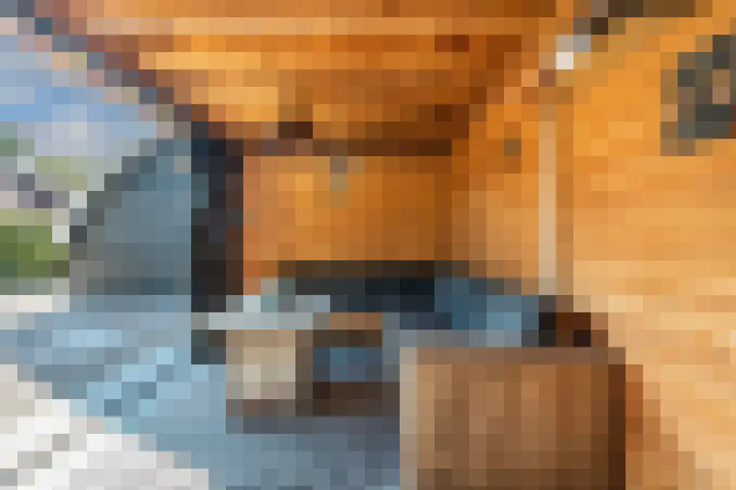 Bultweg 25 R 15 De Bult thumbnail 32