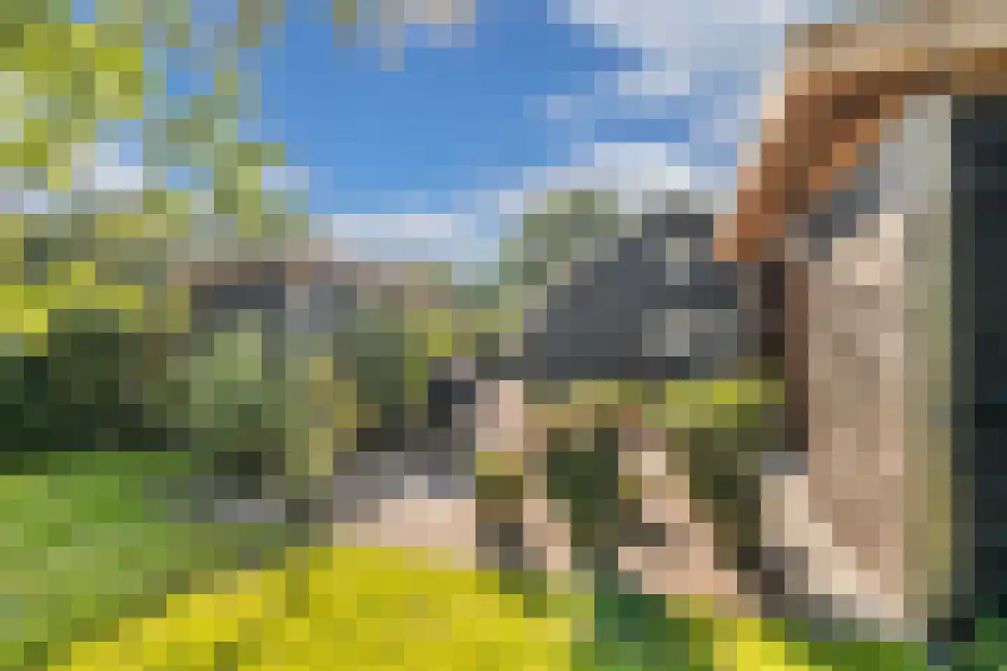 Bultweg 25 R 15 De Bult thumbnail 35