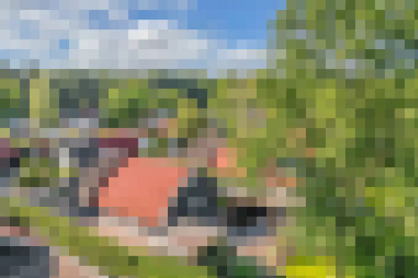 Bultweg 25 R 15 De Bult thumbnail 37