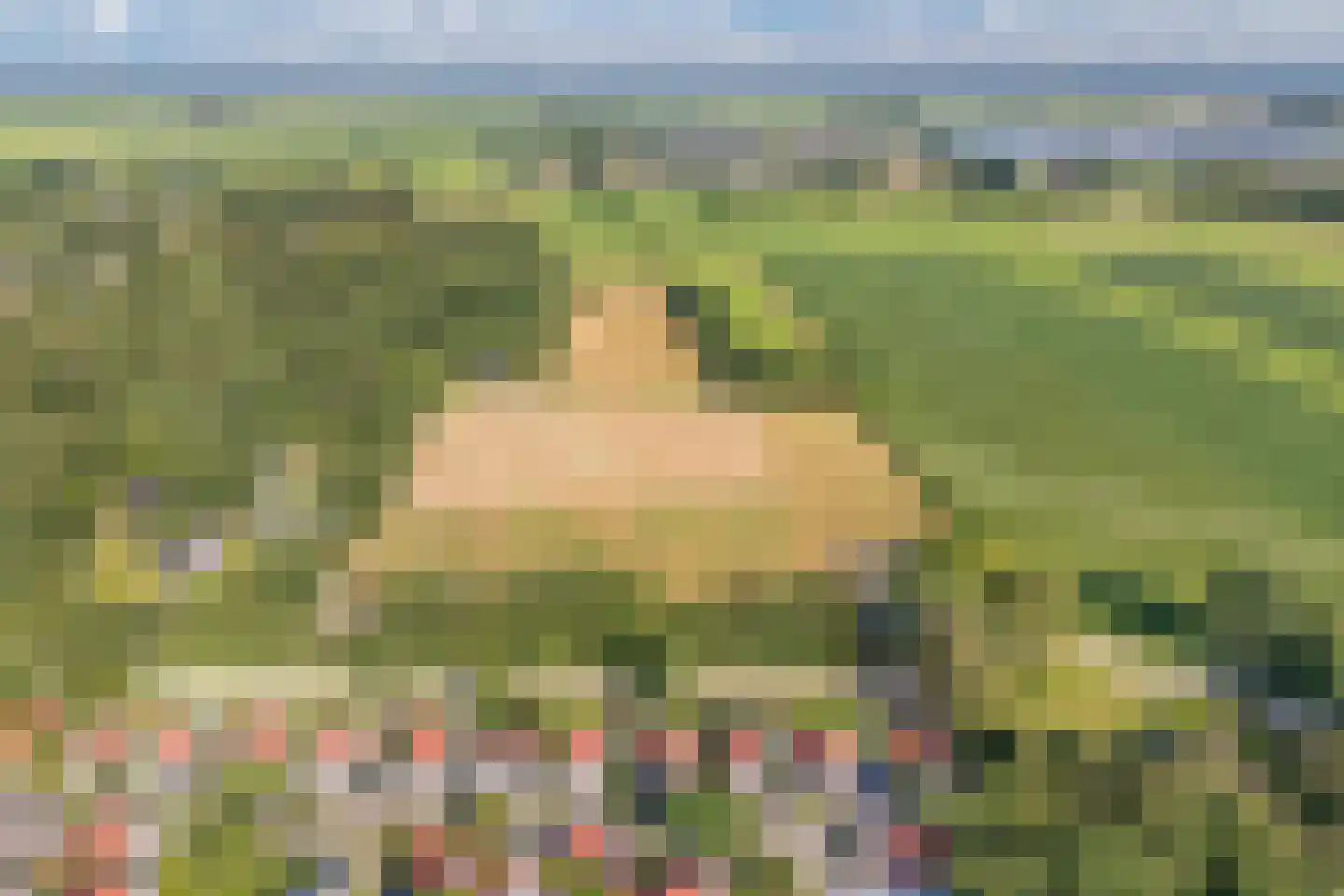 Bultweg 25 R 15 De Bult thumbnail 38
