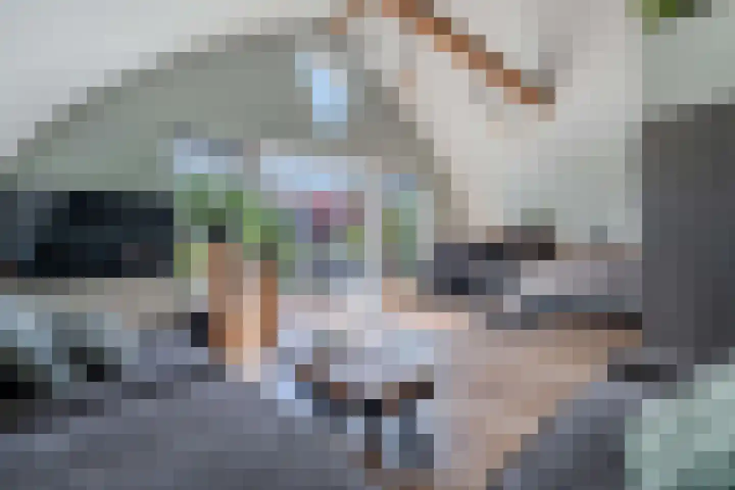 Bultweg 25 R 15 De Bult thumbnail 4