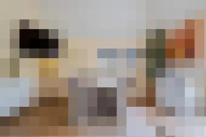 Bultweg 25 R 3 De Bult thumbnail 10
