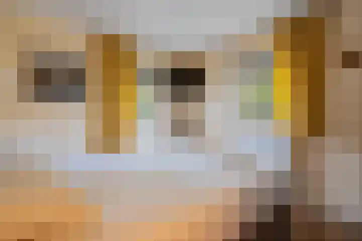Bultweg 25 R 3 De Bult thumbnail 14