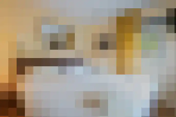 Bultweg 25 R 3 De Bult thumbnail 15