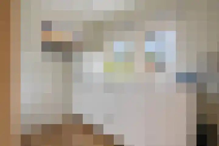Bultweg 25 R 3 De Bult thumbnail 17