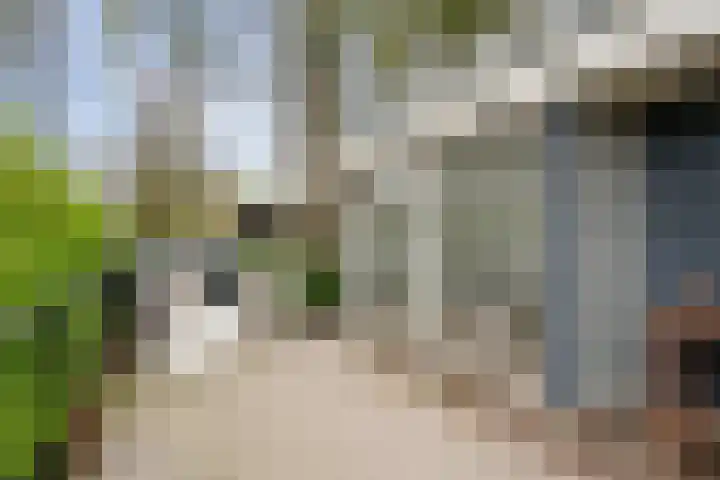 Bultweg 25 R 3 De Bult thumbnail 22