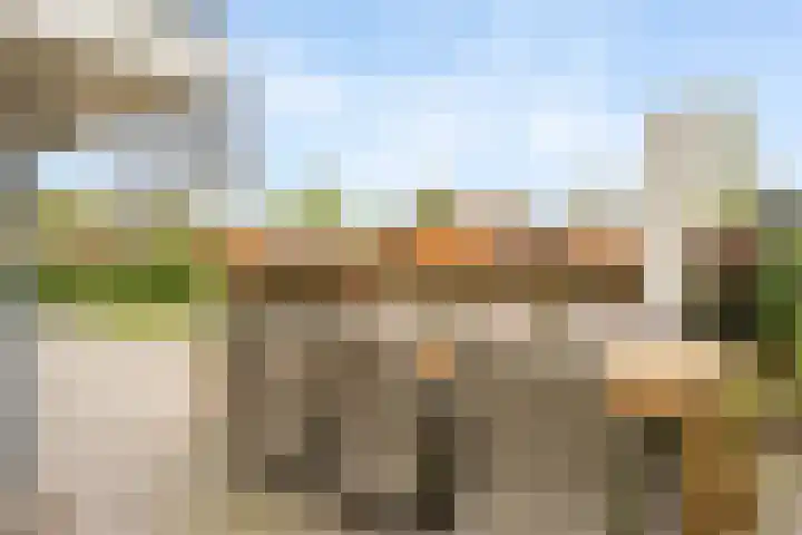 Bultweg 25 R 3 De Bult thumbnail 23