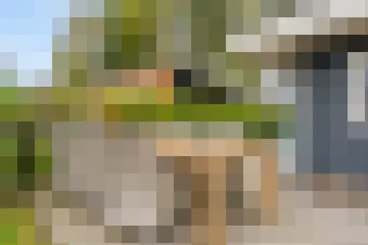 Bultweg 25 R 3 De Bult thumbnail 24