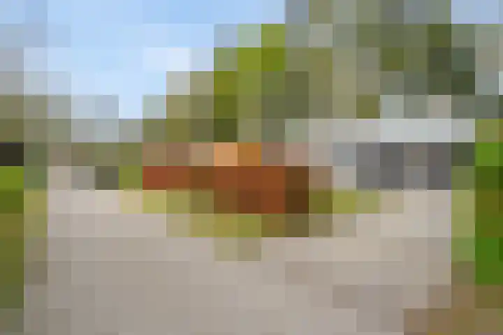 Bultweg 25 R 3 De Bult thumbnail 28
