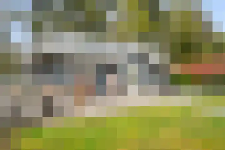 Bultweg 25 R 3 De Bult thumbnail 31