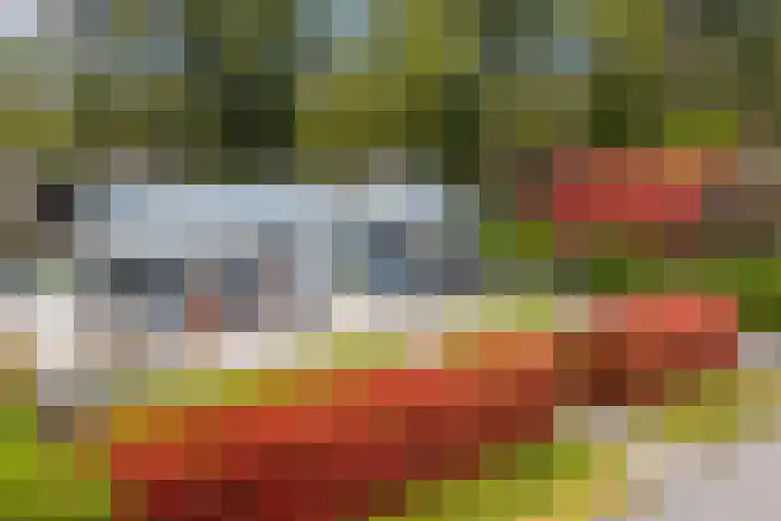 Bultweg 25 R 3 De Bult thumbnail 32