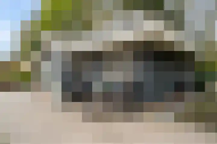 Bultweg 25 R 3 De Bult thumbnail 34