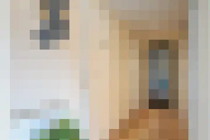Bultweg 25 R 3 De Bult thumbnail 5