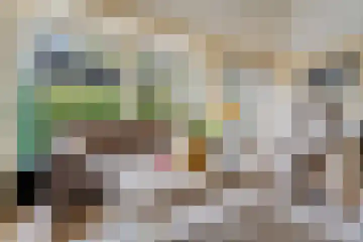 Bultweg 25 R 3 De Bult thumbnail 7
